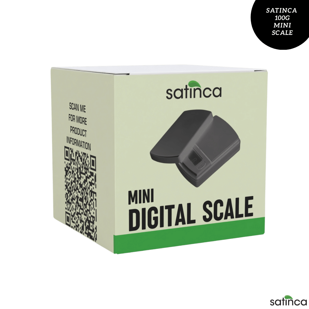 Digital Scale